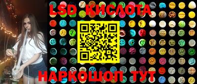 стафф Кингисепп