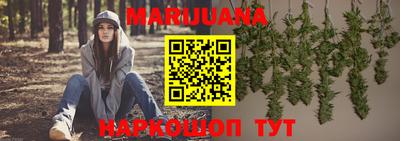 стафф Кингисепп