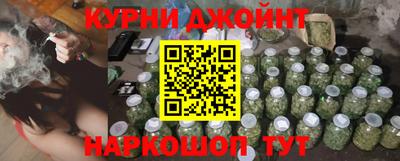 стаф Кимры