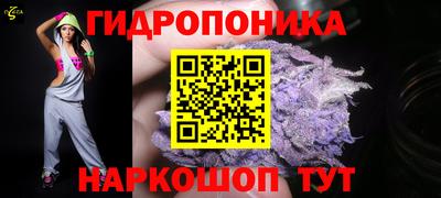 стафф Кингисепп