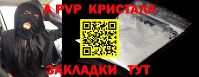 стафф Кингисепп