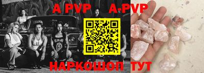 стафф Кингисепп