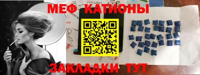стафф Кингисепп
