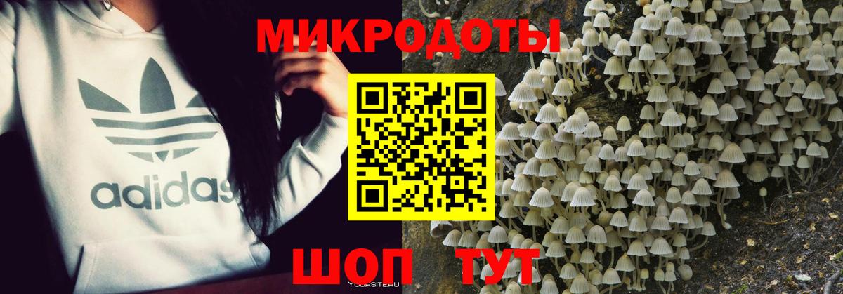 Донецк  Псилоцибиновые грибы ЛСД  Псилоцибиновые грибы Cubensis  Вход с VPN 